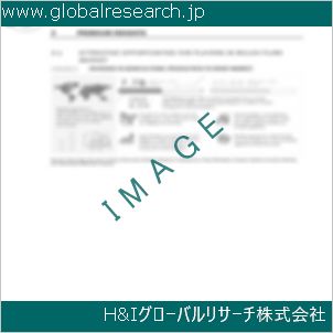 グローバルリサーチ調査資料のイメージ